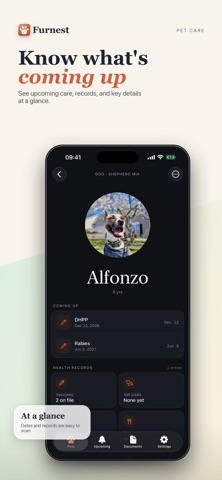 A Furnest pet profile for Alfonzo with his photo, upcoming vaccines and health records
